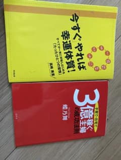 今すぐやれば幸運体質！ 子育て・在宅で3億稼ぐ主婦の成功法則のサムネイル