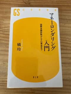 マネーロンダリング入門 : 国際金融詐欺からテロ資金までのサムネイル