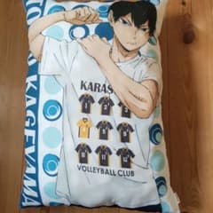 【ハイキュー】影山飛雄リバーシブルクッションのサムネイル