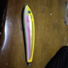 カーペンター BF100 ニラミハナダイ ブルーフィッシュ カーペンター ニラミハナダイ ブルーフィッシュ BF100 - メルカリ