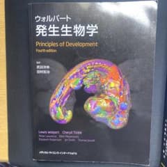 ウォルパート　発生生物学　監訳　武田洋幸　田村宏治のサムネイル
