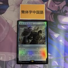 Mtg セファリッドの幻術師 中国語 繁体字 foil MTG 浄化プロジェクトを懸けた戦い foil 簡体字中国語 Fallout - メルカリ