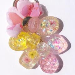 こあらさまのサムネイル