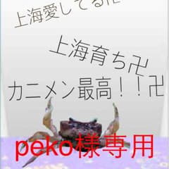 peko様専用のサムネイル