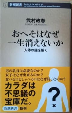 おへそはなぜ一生消えないか : 人体の謎を解くのサムネイル