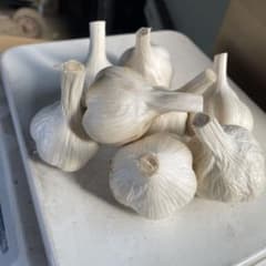 青森県産にんにくMサイズ　箱込約2キロのサムネイル