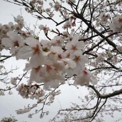 ♡あゆ様専用♡のサムネイル