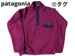 レアカラー 90年代製 patagonia Rタグ シンチラ スナップTのサムネイル