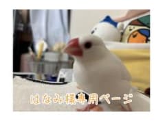 はなみ様専用ページのサムネイル