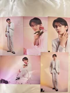 Lienel 生写真セット N°29 生写真 芳賀柊斗 コンプセット 眼鏡 | Shop