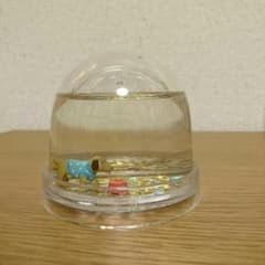 ダックスフンド＊ウォータードームのサムネイル
