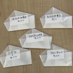 エケベリア 種子 5セット⑥ 20粒〜30粒　ホリコロ50実生セルフなどのサムネイル