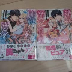 離縁を申し出たら溺愛されるようになりました!? ～将軍閣下は年下妻に