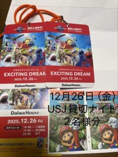 ユニバ USJ 貸切ナイト2025年12月26日 2名様分 - メルカリ