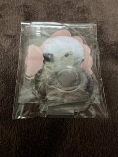 カプくじ ラッコのメイちゃん ペンスタンド メイ　ひょっこり