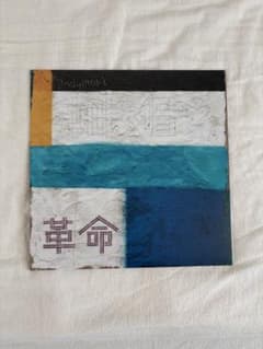 andymori 革命 レコード アナログ LP - メルカリ