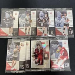 バレーボール 日本代表 ツインウエハース 8枚セット
