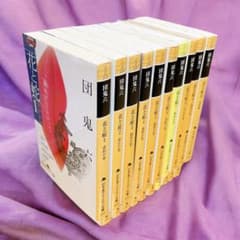 全巻セット】団鬼六「花と蛇」角川文庫版 全10巻セット - メルカリ