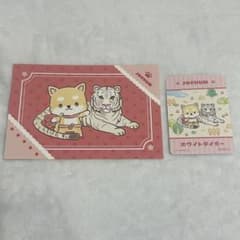 JOCHUM 東武動物公園 まめちぃセット