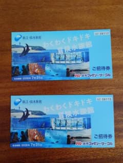 新江ノ島水族館 招待券 ペア 2枚 有効期限2026年7月31日 - メルカリ