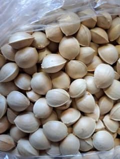 ぎんなん(令和５年産　１kg強)のサムネイル