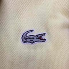 LACOSTE ラコステ 夏に使えます！のサムネイル
