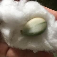 なんちむ様☆お取り置き中のサムネイル