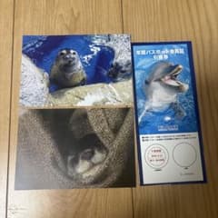 新江ノ島水族館 年間パスポート 引換券のサムネイル