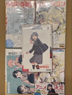 ルリドラゴン 1巻〜5巻 初版 特典付き 全巻セット - メルカリ