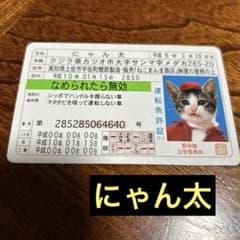なめ猫 免許証 25 【まとめ売り:お値引き】 - メルカリ