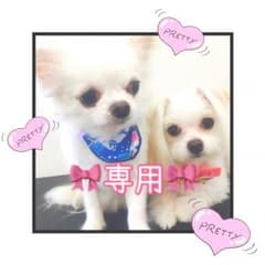 haru様専用゜.+.+.*.。のサムネイル
