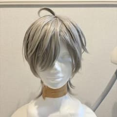 にじさんじ 七次元生徒会 叶 コスプレ ウィッグ - メルカリ