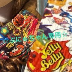 ☆ぷにゅちゃん専用☆のサムネイル