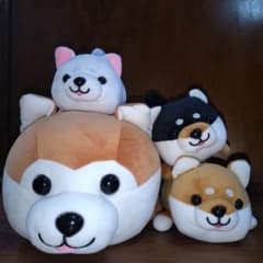 秋田犬 まめしば ぬいぐるみ - メルカリ
