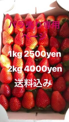 ベアトさん専用 スカイベリー バラ売り⑫のサムネイル