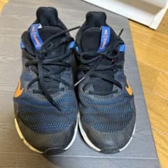 Nike ランニングシューズ 7.5 (US)のサムネイル
