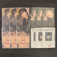 &TEAM NICHOLAS ニコラス 月狼 トレカ12枚 - メルカリ