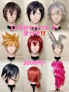 受付中】ウィッグオーダー 最短11月上旬~お見積もり無料です‼️ - メルカリ