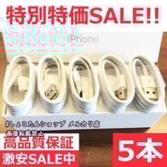 ipad air ライトニング ケーブル 純正 対応 充電機 5本