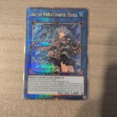 遊戯王　清冽の水霊使いエリア　25thシク 遊戯王 清冽の水霊使いエリア 25thシークレットレア 英語版 クオシク