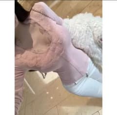 【新品未使用】ワンホン 長袖ニット ピンク レースのサムネイル