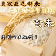 数量限定！出来立て農家直送新米 コシヒカリ玄米！約20キロ！期間限定