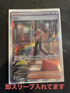 チリ　SAR 極美品のサムネイル