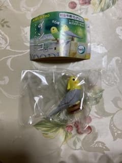 インコヌードルクリップのサムネイル