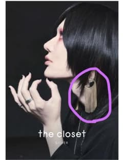 【未開封】hakusei tiger claw fringe earringsのサムネイル