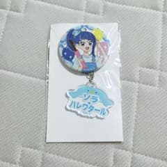 ソラ・ハレワタール 缶バッジ 14点セット ひろがるスカイ！プリキュア 匿名配送】ソラ・ハレワタール ひろがるスカイ!プリキュア お名前缶