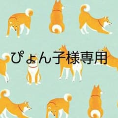 ぴょん子様専用のサムネイル