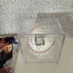 WBC2009 寄せ書きサインボール 20数名 ダルビッシュ 松坂大輔 里崎など WBC2009 寄せ書きサインボール 20数名 ダルビッシュ 松坂大輔 里崎など