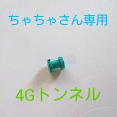 ちゃちゃさん専用 4G トンネルのサムネイル