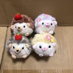 ハリネズミ　まとめ売りのサムネイル